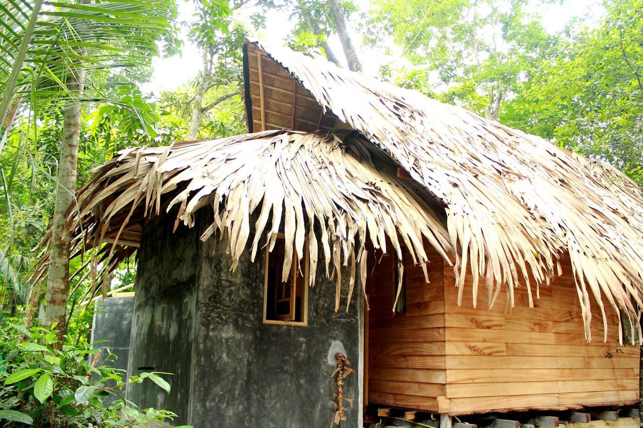 Bedda Eco Cottages Deniyaya Exterior photo
