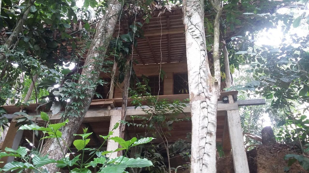 Bedda Eco Cottages Deniyaya Exterior photo