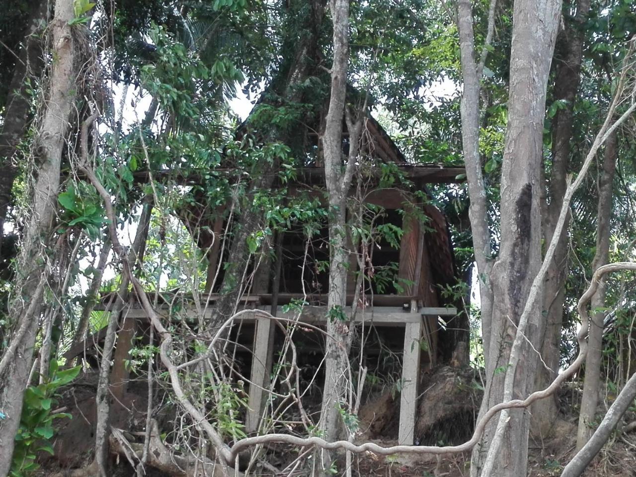 Bedda Eco Cottages Deniyaya Exterior photo